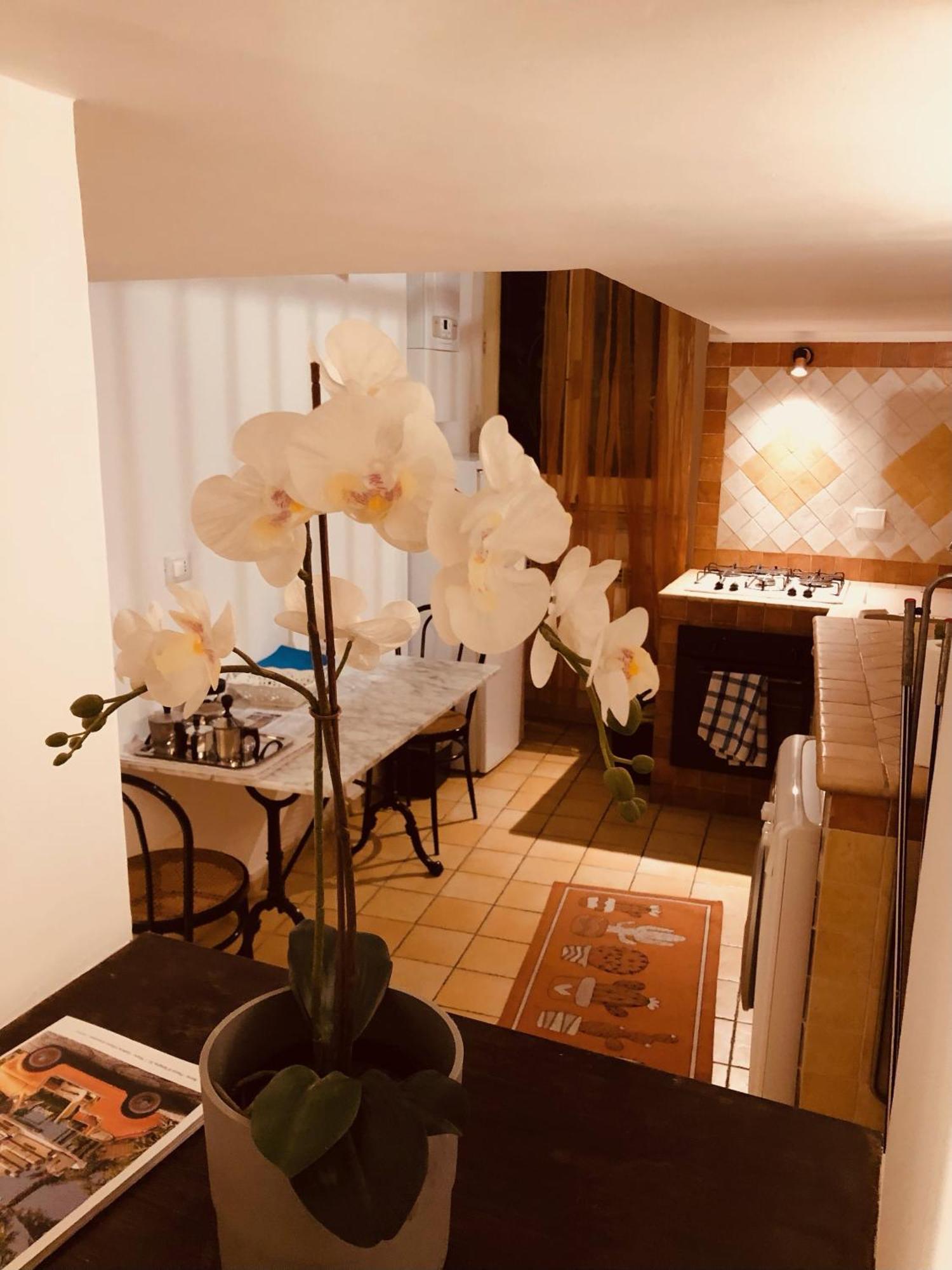 Campo De' Fiori Loft The Angeli'S Apartment 罗马 外观 照片
