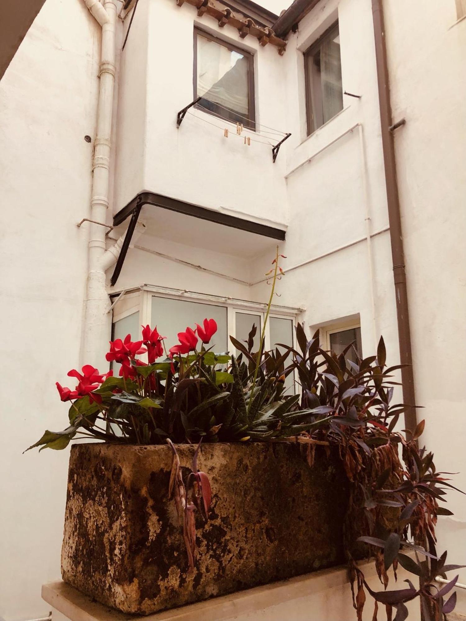 Campo De' Fiori Loft The Angeli'S Apartment 罗马 外观 照片