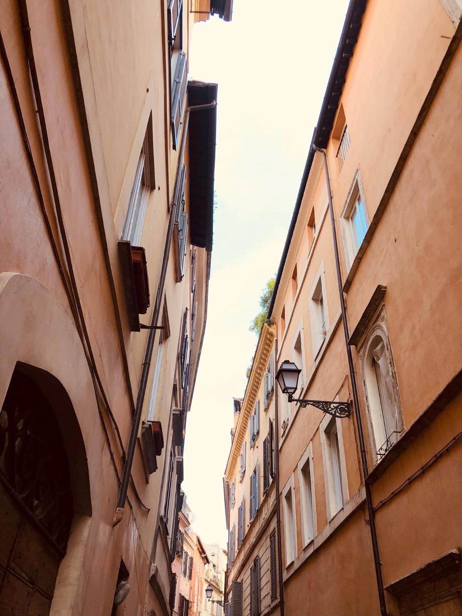 Campo De' Fiori Loft The Angeli'S Apartment 罗马 外观 照片